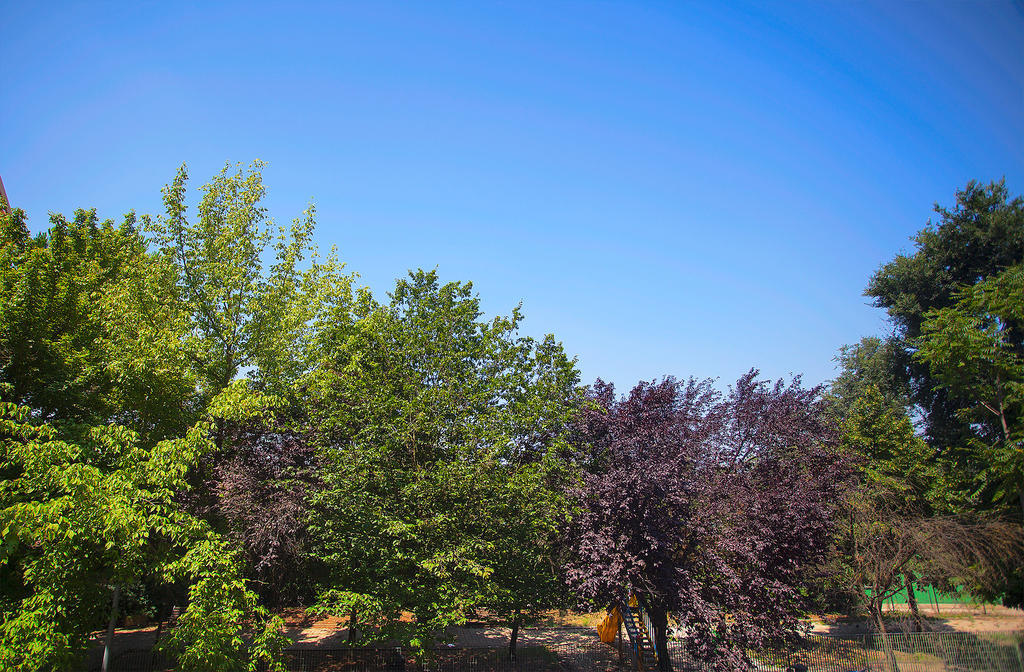 Elements Guest House Rome Exterior photo